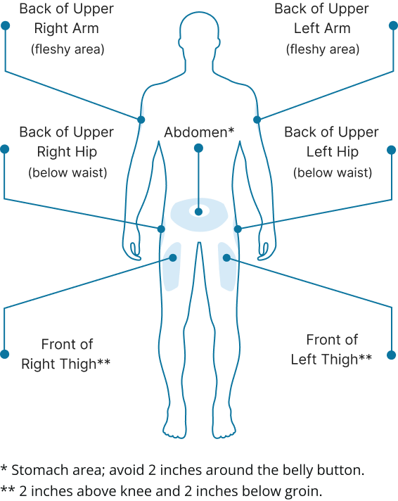 Back of Upper Right Arm (fleshy area) Back of Upper Left Arm (fleshy area) Back of Upper Right Hip (below waist) Back of Upper Left Hip (below waist) Abdomen* Front of Right Thigh** Front of Left Thigh** *Stomach area; avoid 2 inches around the belly button **2 inches above knee and 2 inches below groin.