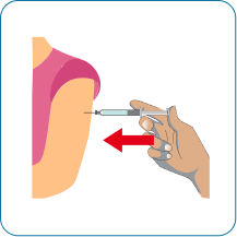 Step 5