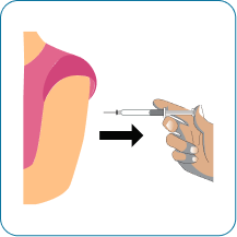 Step 7